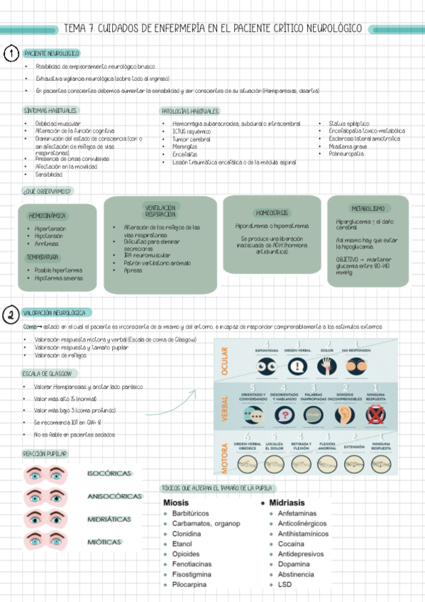 Miniatura del documento T7-CODIGO-ICTUS.pdf