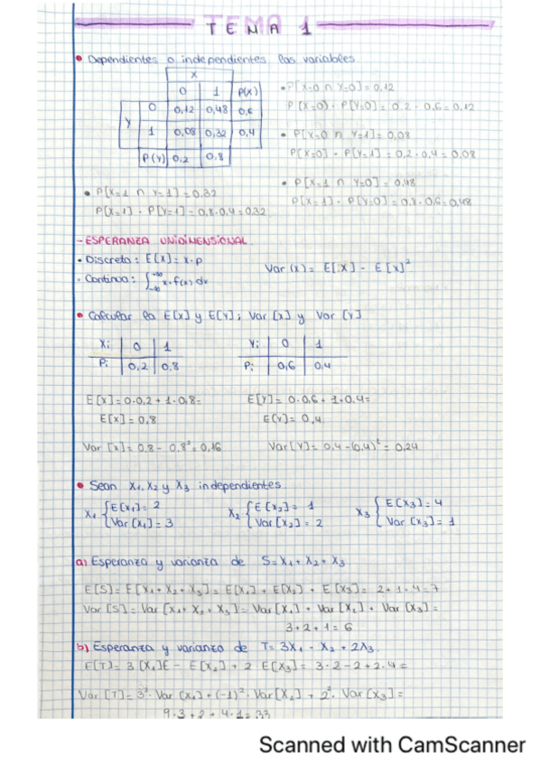 Miniatura del documento Tema-1.pdf