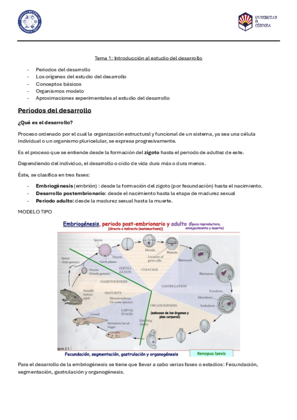 Miniatura del documento Tema-1-Biologia-del-desarrolo.pdf