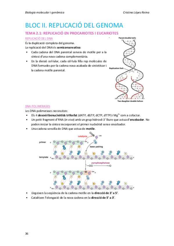 Miniatura del documento Tema 2.1.pdf