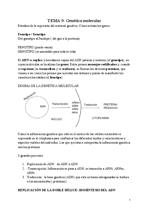 Miniatura del documento Biologia-Tema-9-GENETICA-MOLECULAR.pdf