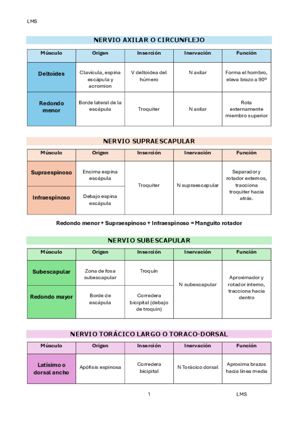 Miniatura del documento Musculos-superiores.pdf