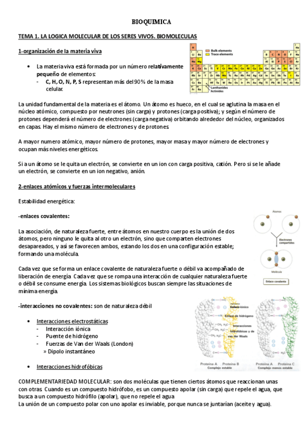 Miniatura del documento BIOQUIMICA.-TEMA-1.-LA-LOGICA-MOLECULAR-DE-LOS-SERES-VIVOS.-BIOMOLECULAS.pdf