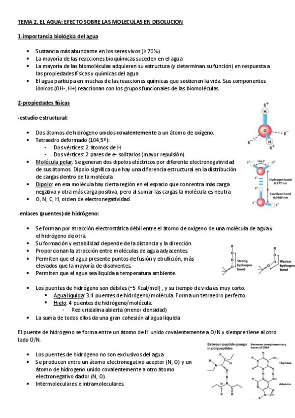Miniatura del documento BIOQUIMICA.-TEMA-2.-EL-AGUA.pdf