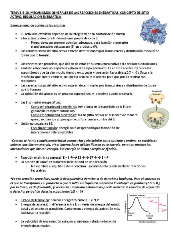 Miniatura del documento BIOQUIMICA.-TEMA-8-9-10.-MECANISMOS-GENERALES-DE-LAS-REACCIONES-ENZIMATICAS.pdf