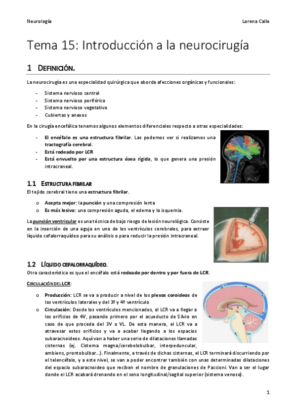 Miniatura del documento Tema-15-neuro-REVISADO.pdf