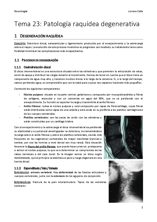 Miniatura del documento Tema-23-Neuro-REVISADO.pdf