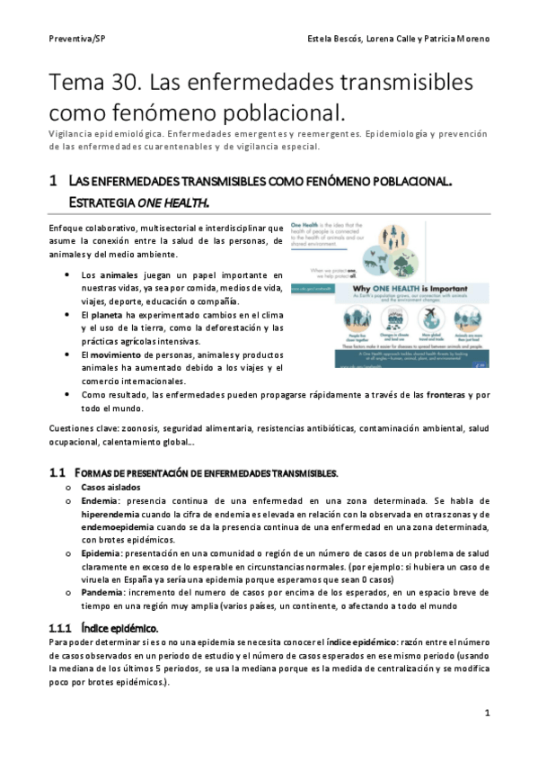 Miniatura del documento Tema-30-SP-REVISADO.pdf