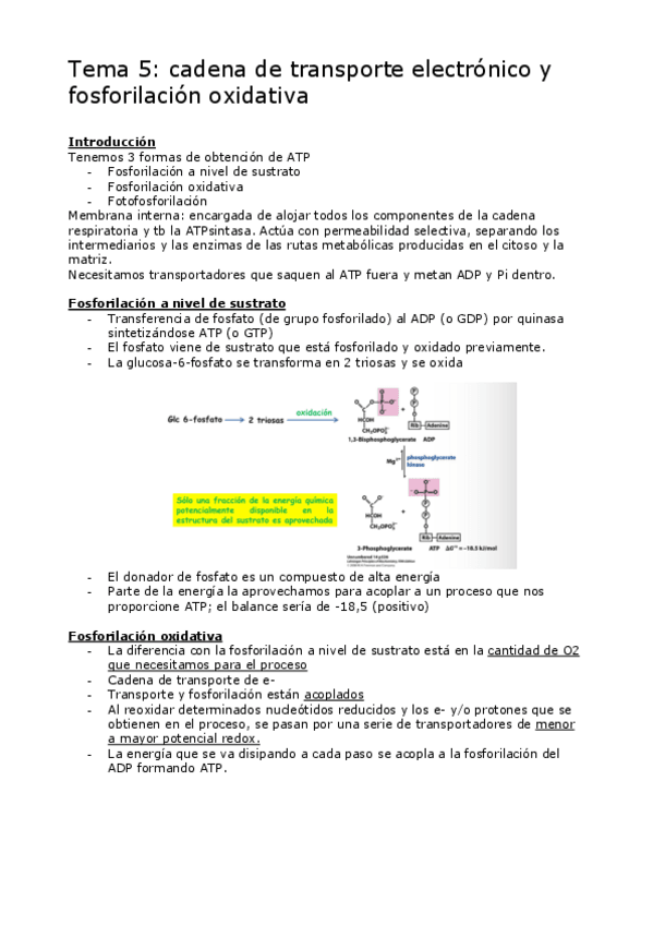 Miniatura del documento TEMA5-9.pdf