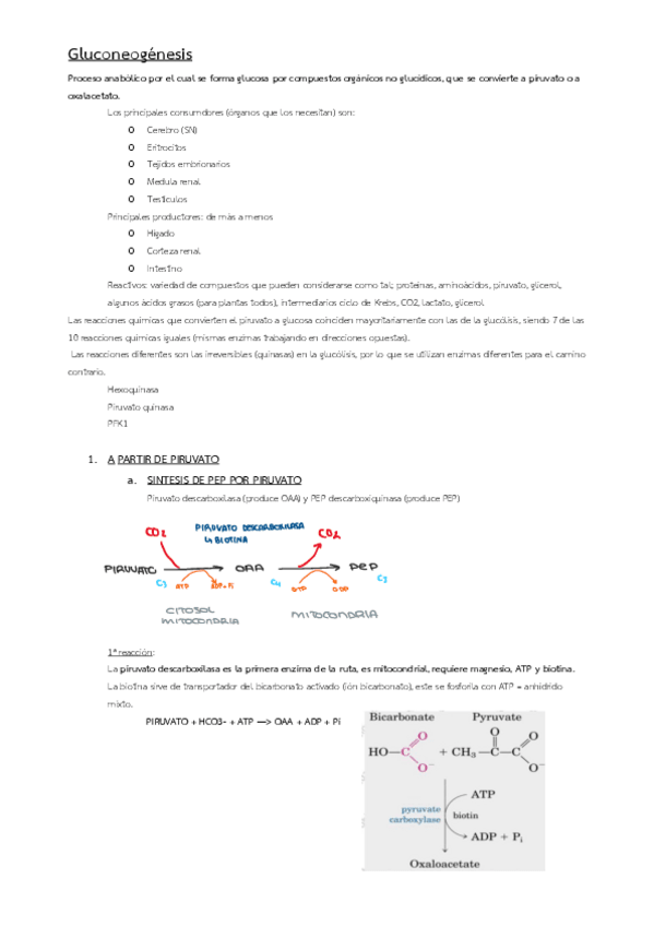 Miniatura del documento 11-25.pdf
