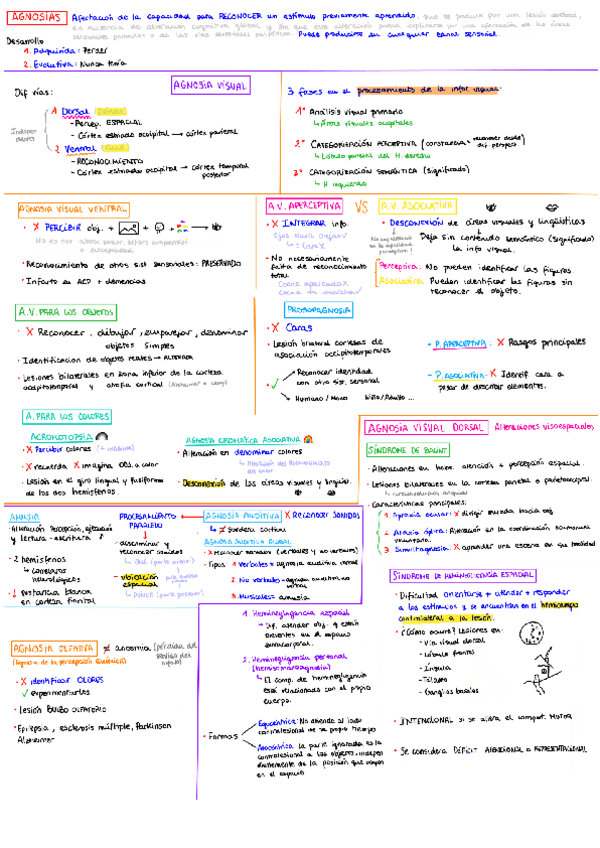 Miniatura del documento Agnosias-parte-1.pdf