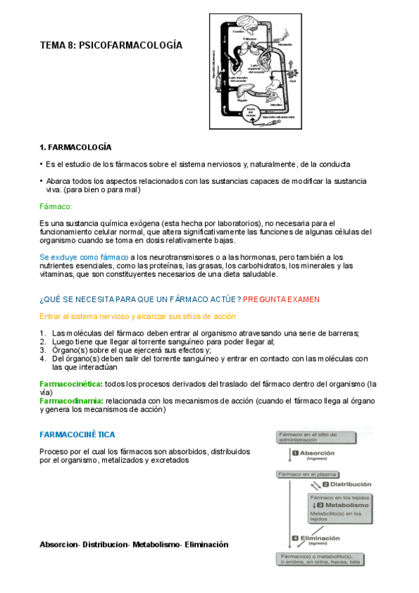 Miniatura del documento Neurociencia-parte-2.pdf