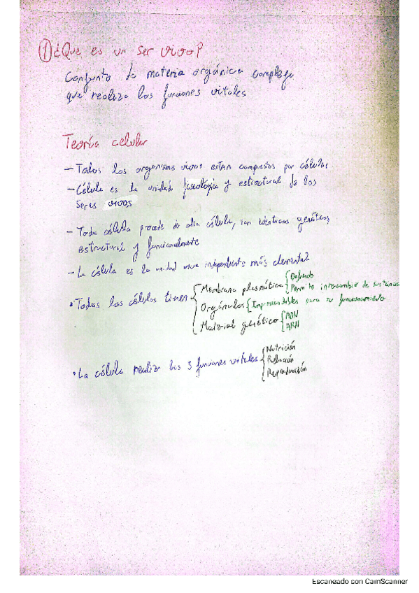 Miniatura del documento Tema-1.-Caracteres-generales-de-los-seres-vivos.pdf