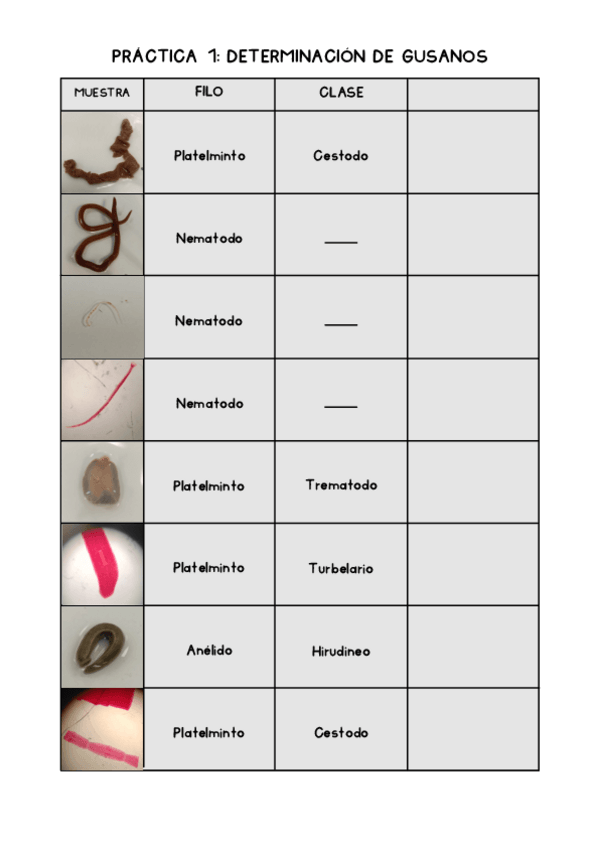 Miniatura del documento Tabla-De-Practicas.pdf