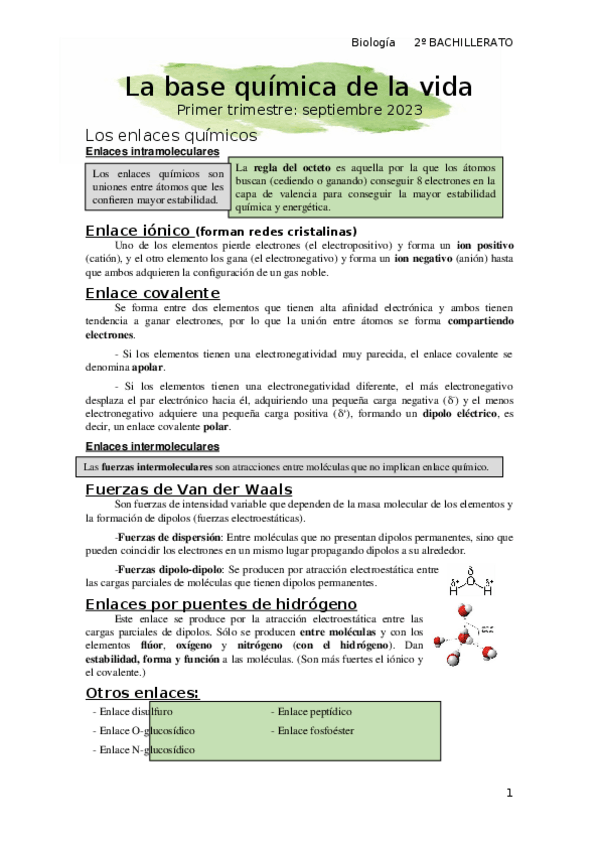 Miniatura del documento 1.-La-base-quimica-de-la-vida.docx