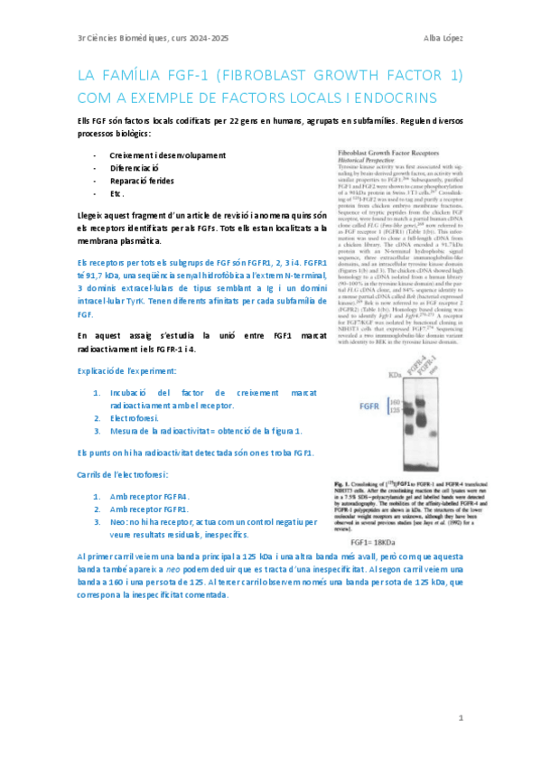 Miniatura del documento Treball de classe: Familia FGF-1.pdf