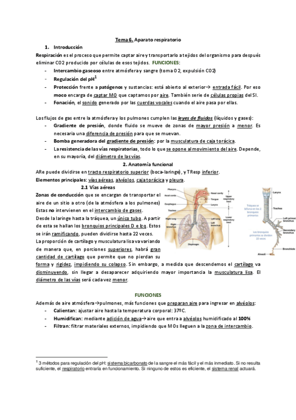 Miniatura del documento TEMA-6-Aparato-Respiratorio.pdf