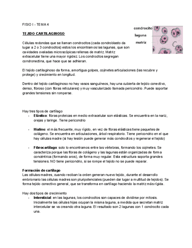 Miniatura del documento FISIO-I-TEMA-4-Google-Docs.pdf