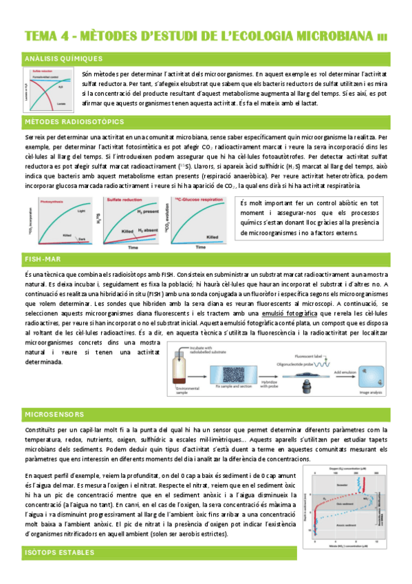 Miniatura del documento Resum-TEMA-4.pdf