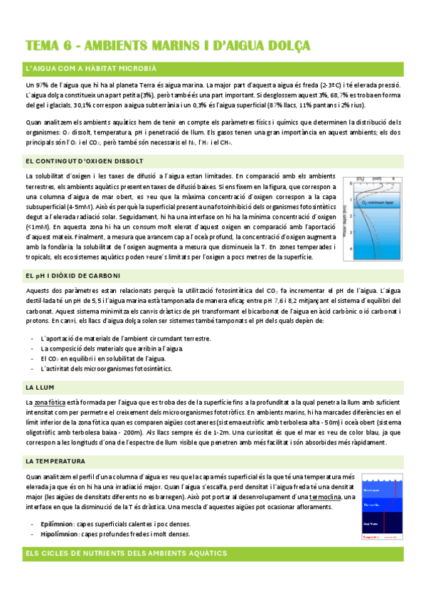 Miniatura del documento Resum-TEMA-6.pdf