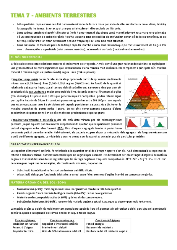 Miniatura del documento Resum-TEMA-7.pdf