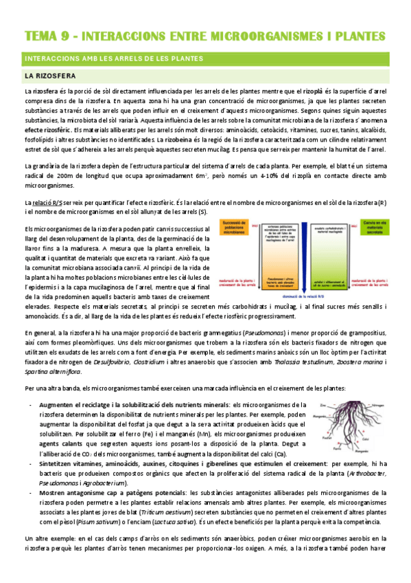 Miniatura del documento Resum-TEMA-9.pdf