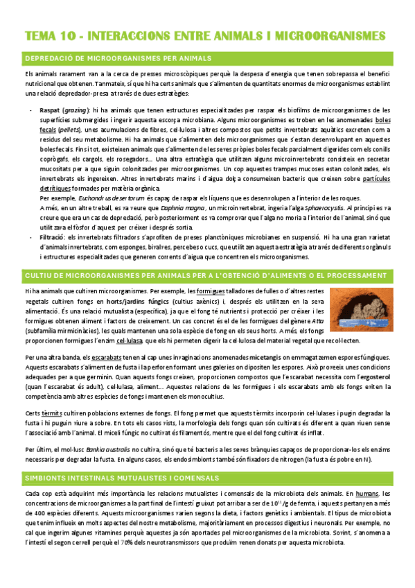 Miniatura del documento Resum-TEMA-10.pdf