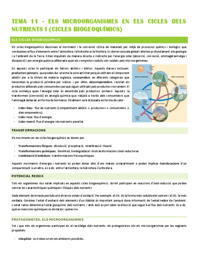 Miniatura del documento Resum-TEMA-11.pdf