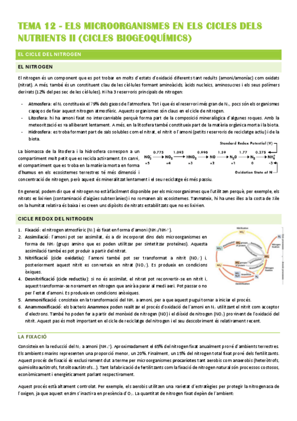 Miniatura del documento Resum-TEMA-12.pdf