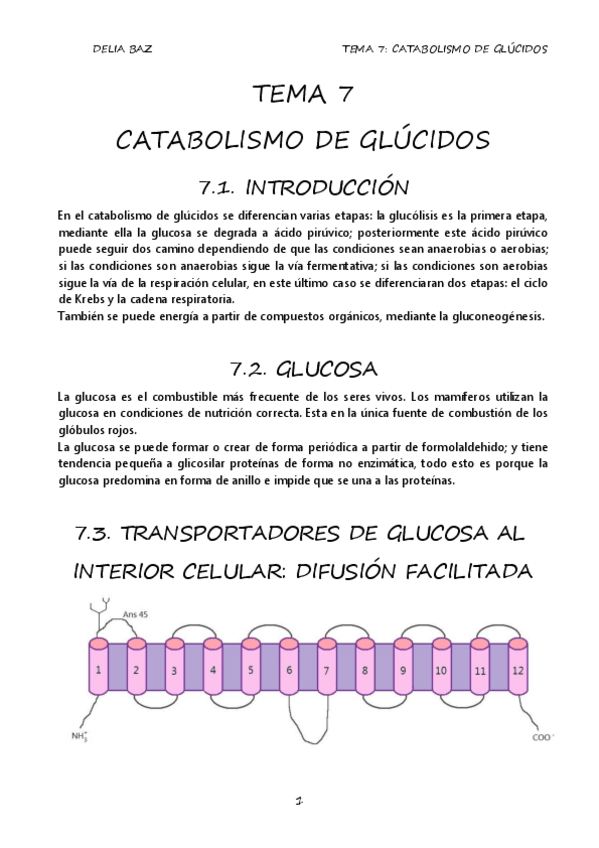 Miniatura del documento TEMA7BQ.pdf
