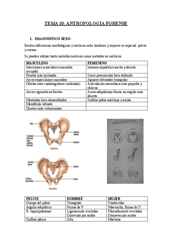 Miniatura del documento TEMA-10.pdf