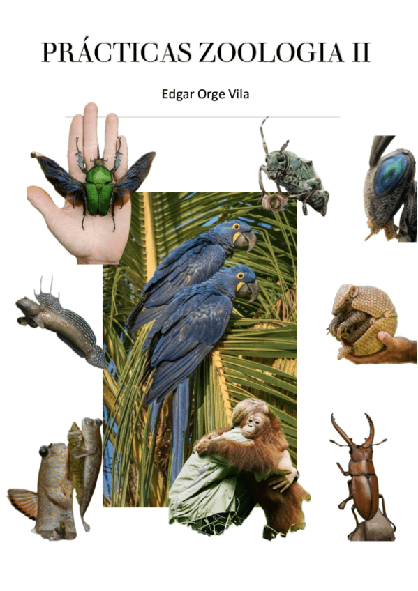 Miniatura del documento cuaderno-practicas-zooll.pdf