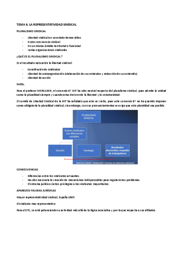 Miniatura del documento TEMA-4.pdf