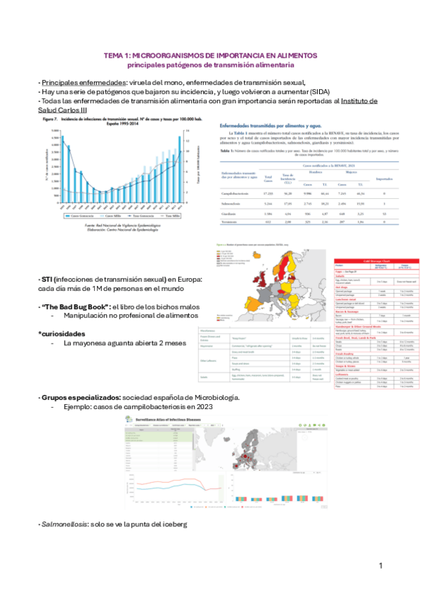 Miniatura del documento TEMA-1-AMIC.pdf