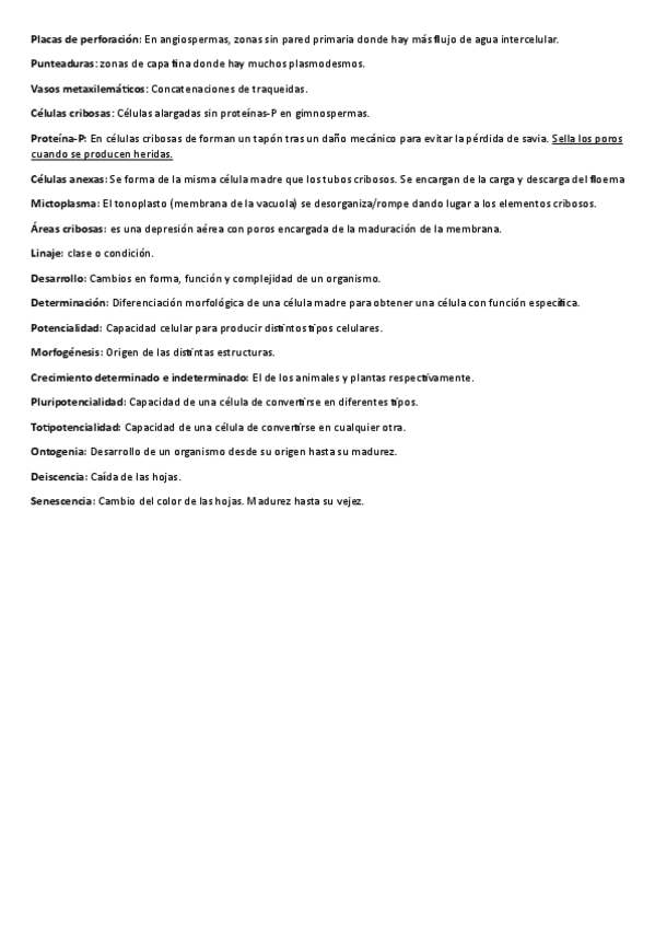 Miniatura del documento diccionario-examen.pdf
