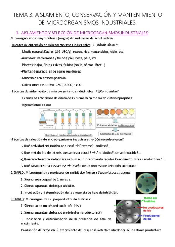 Miniatura del documento Tema 3. Aislamiento- conservación y mantenimiento de microorganismos industriales..pdf