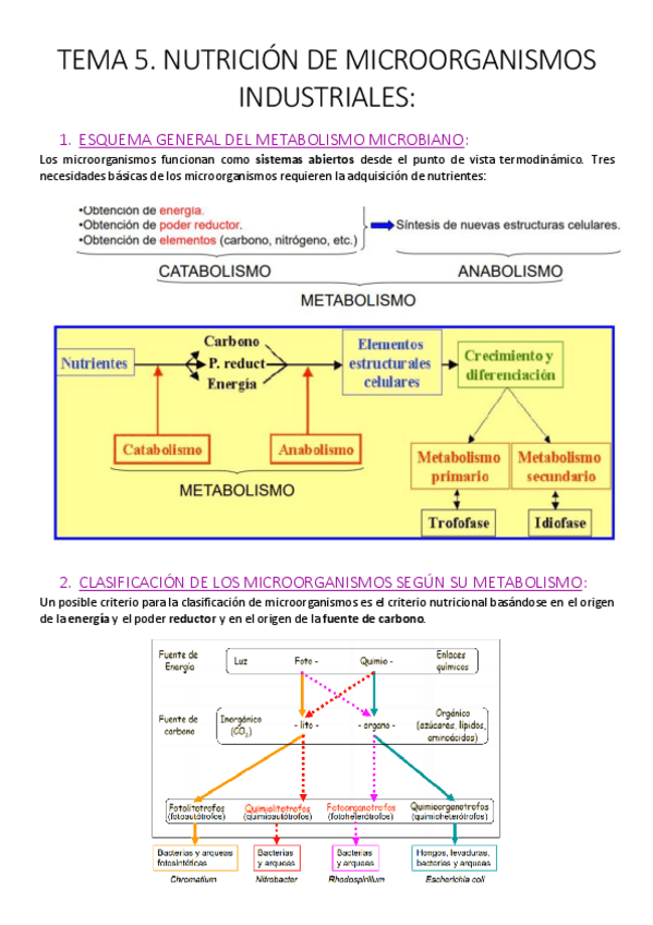 Miniatura del documento Tema 5. Nutrición de microorganismos industriales.pdf