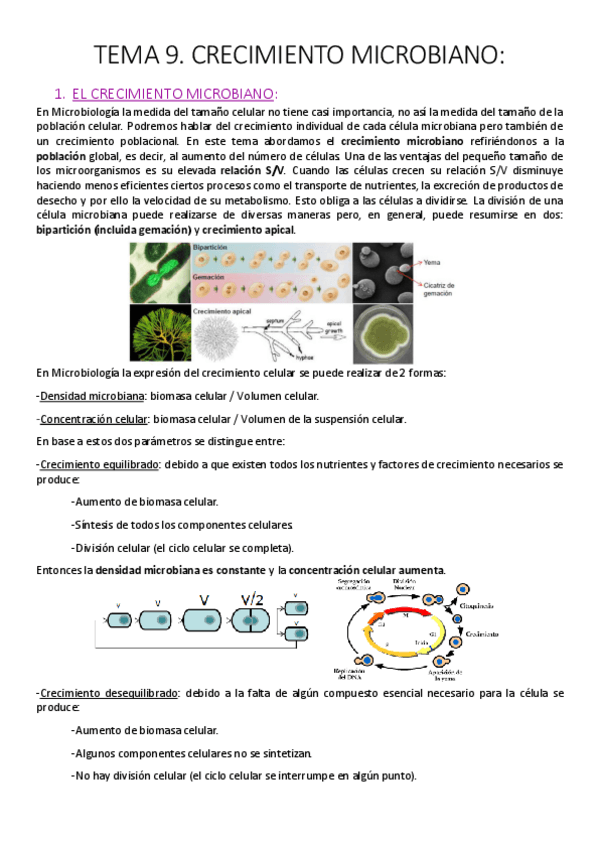 Miniatura del documento Tema 9. Crecimiento microbiano..pdf
