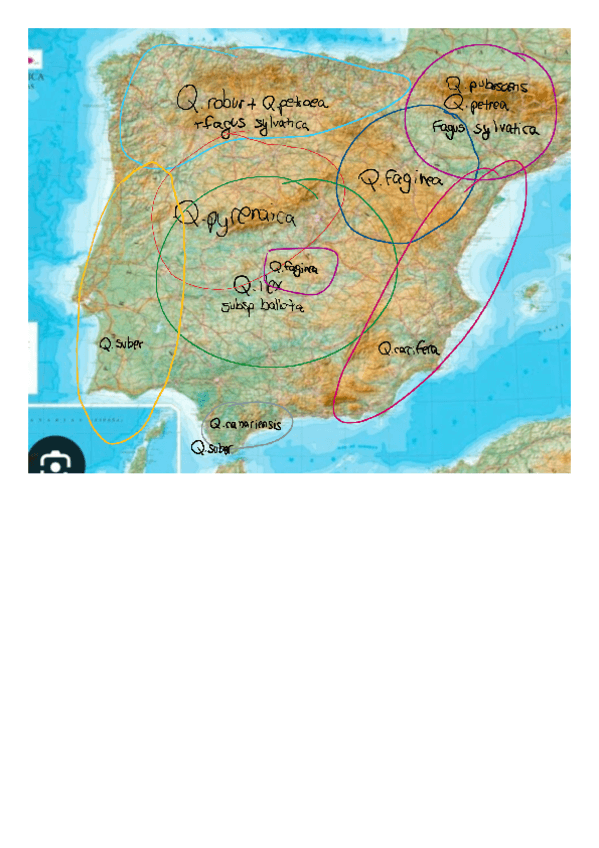 Miniatura del documento mapa-t10.pdf