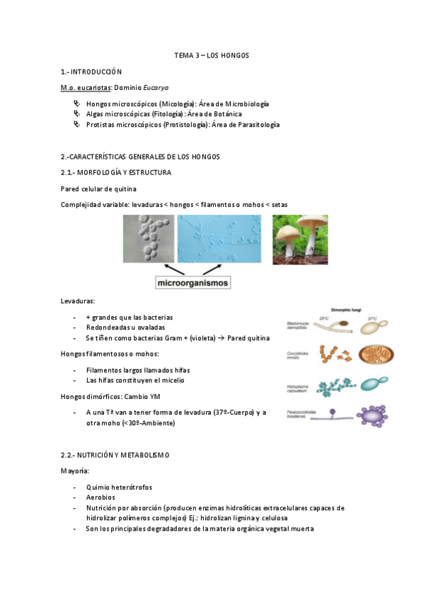 Miniatura del documento TEMA-3-MICRO.pdf