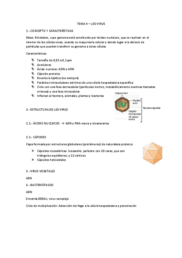 Miniatura del documento TEMA-4-MICRO.pdf
