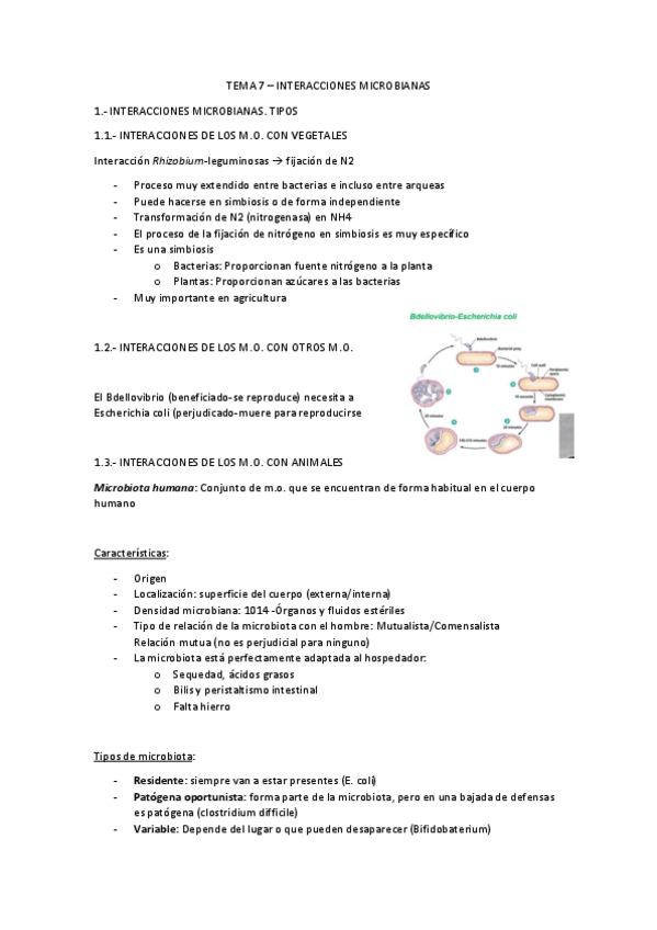 Miniatura del documento TEMA-7-MICRO.pdf