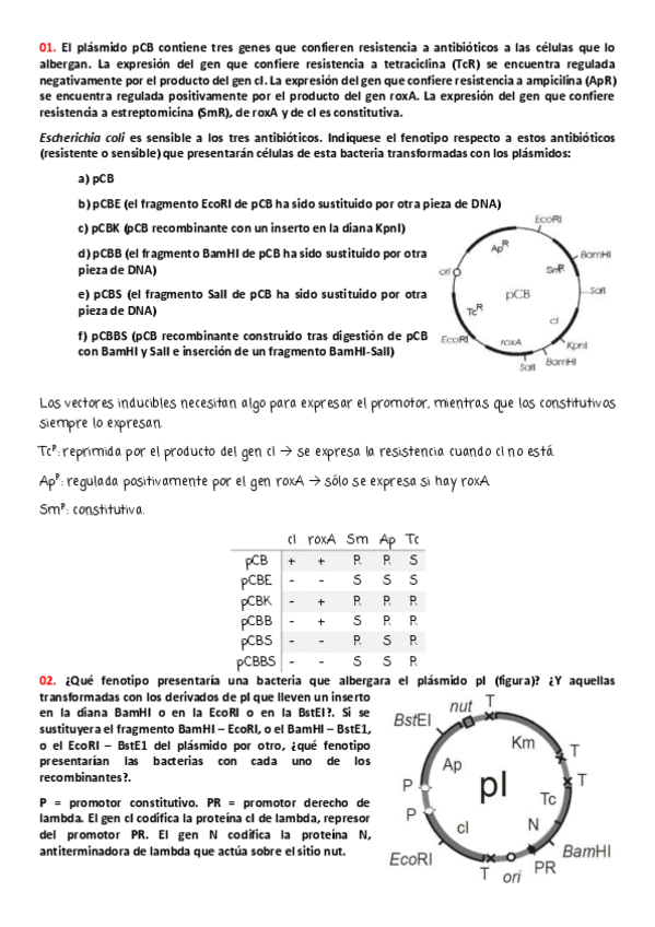 Miniatura del documento Actividades corregidas.pdf