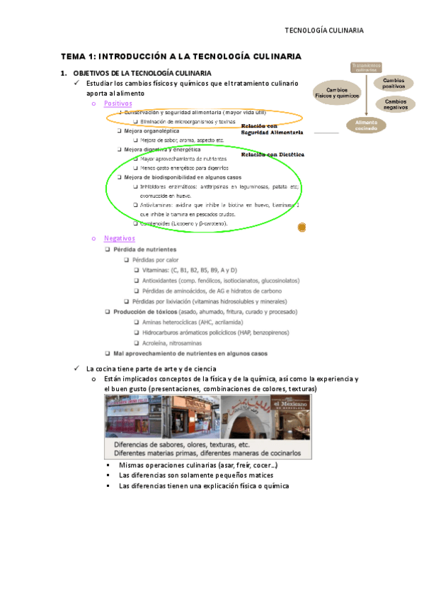 Miniatura del documento Tema-1-Introduccion-a-la-tecnologia-culinaria.pdf