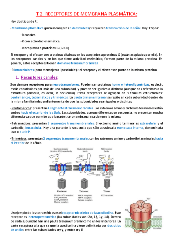 Miniatura del documento Tema 2. Receptores de membrana plasmática..pdf