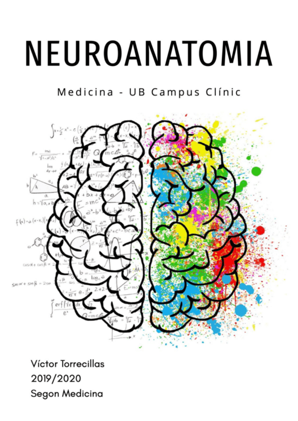 Miniatura del documento Neuroanato-Victor-Torrecillas.pdf