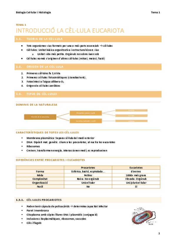 Miniatura del documento BC-T1-Introduccio-cellula-eucariota.pdf