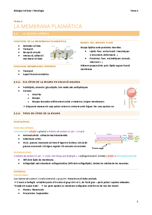 Miniatura del documento BC-T2-Membrana-plasmatica.pdf