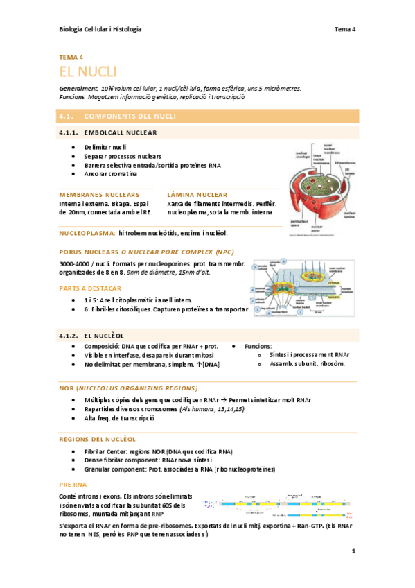 Miniatura del documento BC-T4-El-nucli.pdf