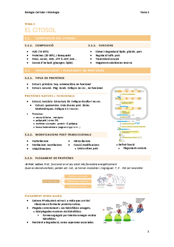 Miniatura del documento BC-T5-Citosol.pdf